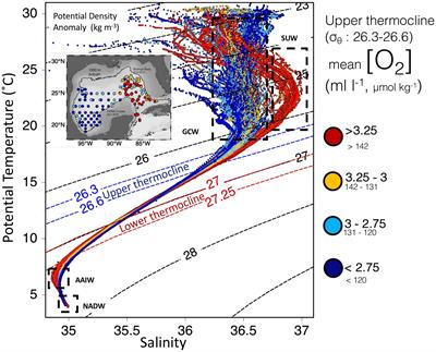 Oxygenation of the Gulf of Mexico thermocline linked to the detachment of Loop Current eddies